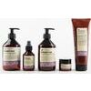 Insight DAMAGED HAIR Restructurizing Shampoo - Struktūru atjaunojošs šampūns bojātiem matiem (400ml / 900ml)