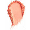 PAESE Mineral blush (color: 300W peach), 6g / Mineral Collection