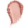 PAESE Mineral blush - Рассыпчатые минеральные румяна (color: 302C mallow), 6g / Mineral Collection