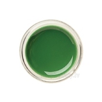 Gel polish - Misteetoe Green