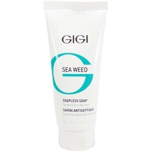 Gigi Sea Weed Soapless Soap - Жидкое безмыльное мыло для жирной и проблемной кожи, 100ml