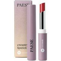 PAESE Creamy Lipstick - Помада для губ (color: No 17 Rose ), 2,2g / Nanorevit Collection